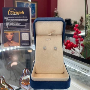 Earring BI00103